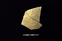 藏品(陶片)的圖片